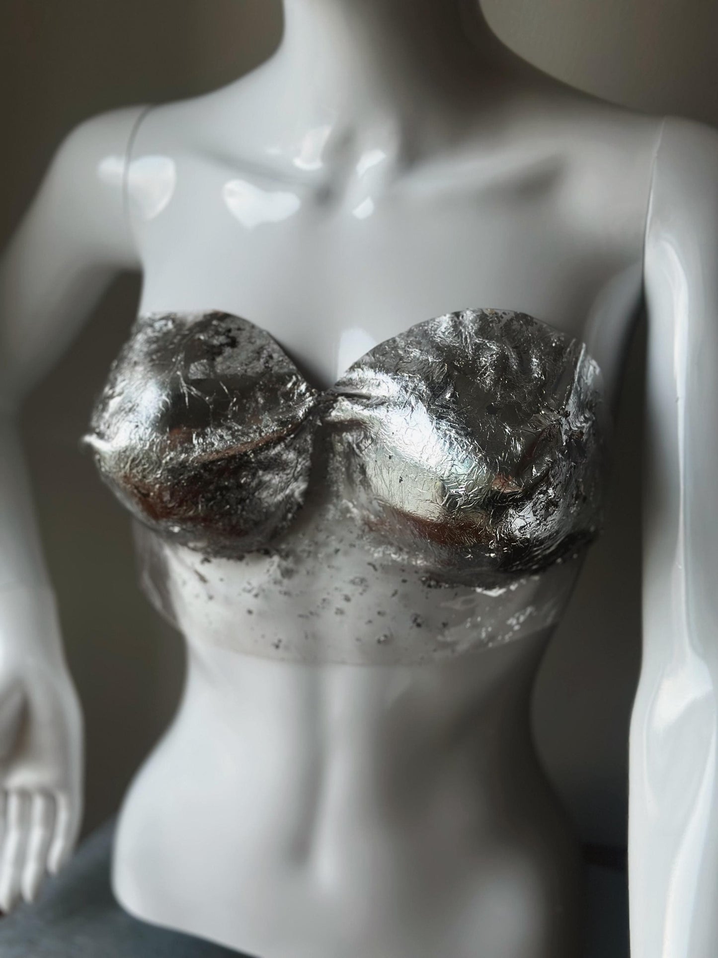Custom silver Corset Bustier Top, Breastplate Costume, Transparent Bra Festival Outfit, Goddess Acrylic Bustier, Handmade top