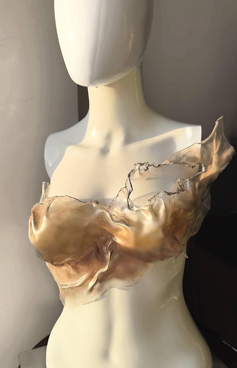 Transparent Top, golden custom handmade breastplate, Plastic crop top, corset for performers