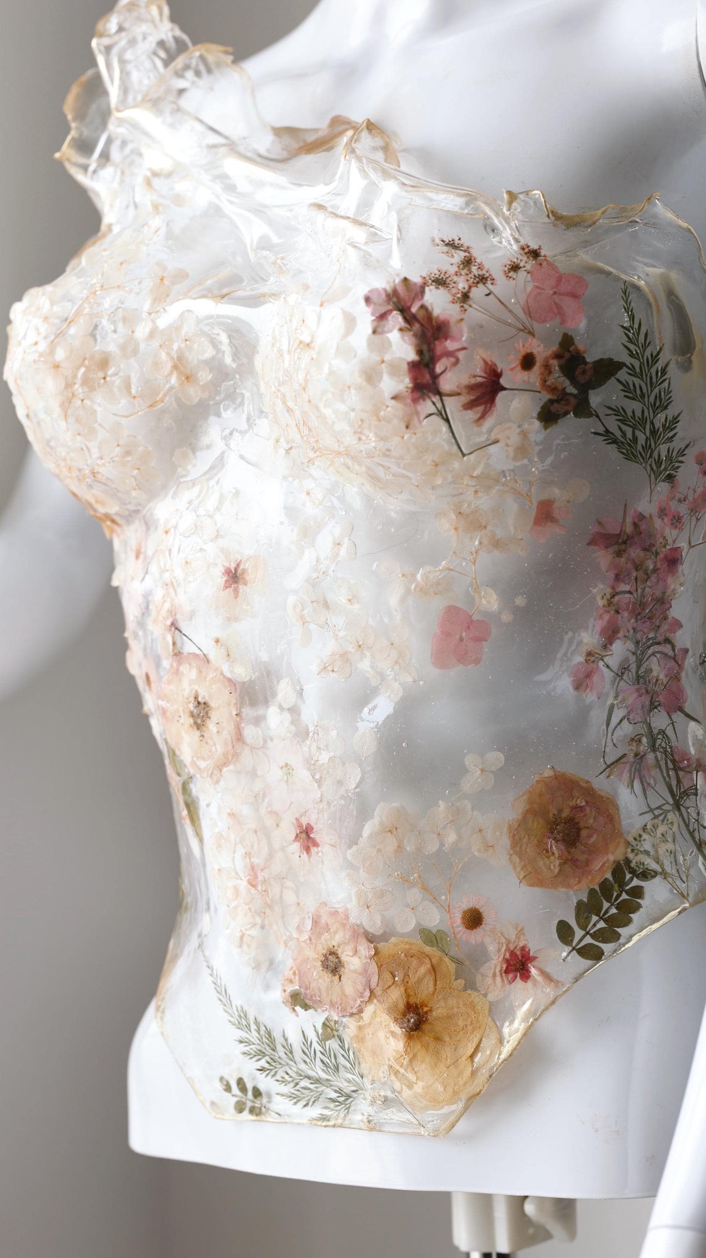 Transparent corset Monèt